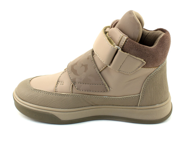 45413Б-шаговита_03