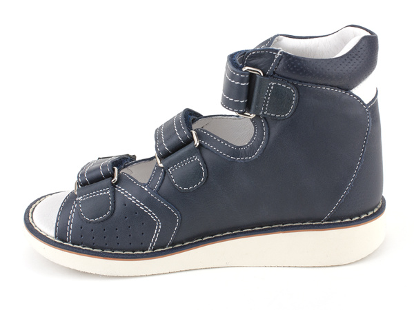 Сурсил15-343S_2