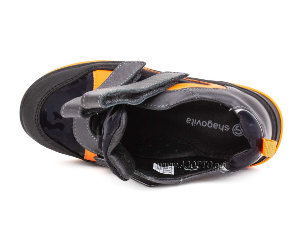 31185_Шаговита_06