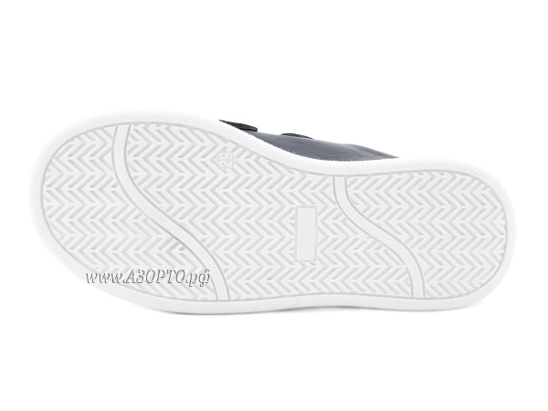 31175_Шаговита_5