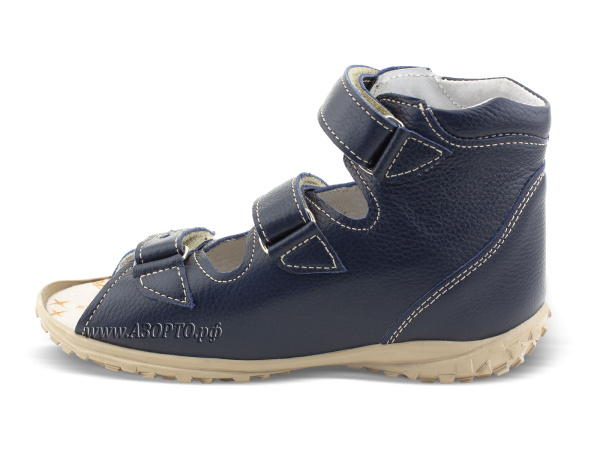 БК3-142-216-054-1СТ-Орфея_3