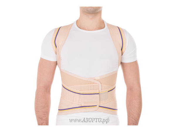 Т.50.29 Тривес (Trlves) Корректор осанки ортопедический для взрослых (3)