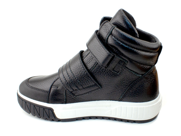 55380Б-шаговита_03