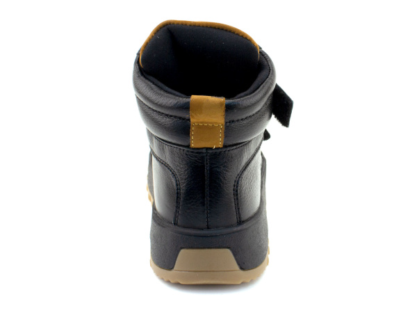 35349Б-Ч-шаговита_03