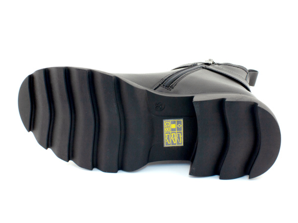 650255Б-шаговита_05