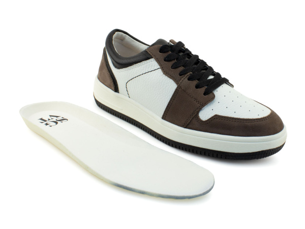 61353-1-шаговита_02