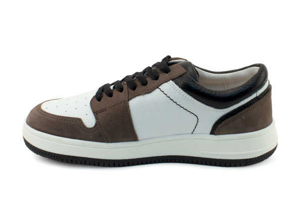 61353-1-шаговита_03