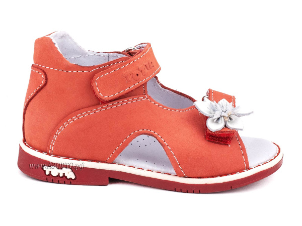 021-226,236_Тотто_02