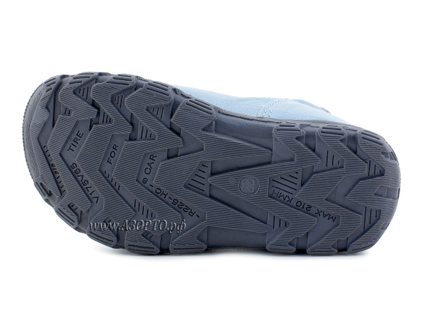 0313-9-603_Тотто_5 0313-9-603_Тотто_5