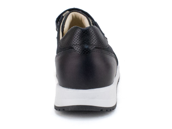 012-111-043-219-347 (31-36) 5