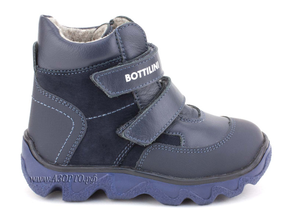 BL-271(50)_Botillini-02 BL-271(50)_Botillini-02
